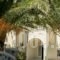 Argo Hotel_best prices_in_Hotel_Cyclades Islands_Sandorini_Sandorini Chora