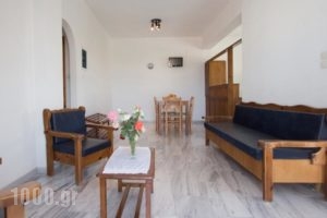 Elena Rooms & Apartments_lowest prices_in_Room_Crete_Chania_Nopigia