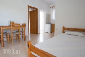 Elena Rooms & Apartments_holidays_in_Room_Crete_Chania_Nopigia