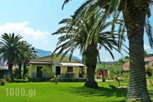 Theocharis Apartments_holidays_in_Apartment_Ionian Islands_Corfu_Aghios Stefanos