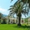 Theocharis Apartments_holidays_in_Apartment_Ionian Islands_Corfu_Aghios Stefanos