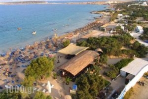 Surfing Beach Huts_travel_packages_in_Cyclades Islands_Paros_Paros Chora