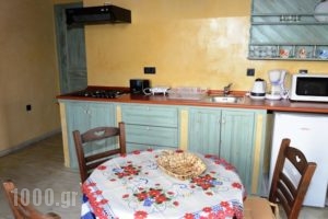 Agnanti Studios_best prices_in_Hotel_Dodekanessos Islands_Halki_Halki Chora