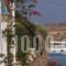 Hotel Grivas_lowest prices_in_Hotel_Cyclades Islands_Paros_Paros Chora