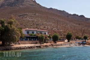 Faros Rooms_accommodation_in_Room_Dodekanessos Islands_Tilos_Livadia
