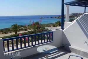 Ardani Bay Studios_accommodation_in_Hotel_Dodekanessos Islands_Karpathos_Karpathos Chora