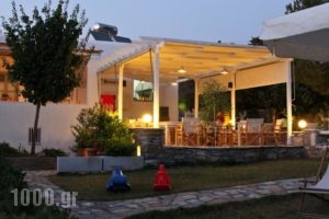 Scala Apartments_best prices_in_Apartment_Cyclades Islands_Naxos_Naxos chora