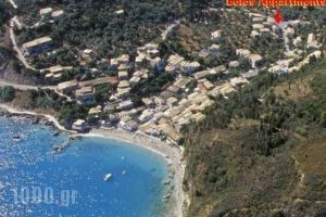 Eolos Apartments_accommodation_in_Apartment_Ionian Islands_Lefkada_Lefkada's t Areas