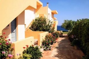 Nautilus Apartments_best deals_Apartment_Crete_Lasithi_Neapoli