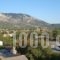 Roula Apartments_best prices_in_Apartment_Ionian Islands_Kefalonia_Kefalonia'st Areas