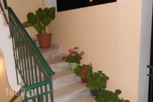Roula Apartments_lowest prices_in_Apartment_Ionian Islands_Kefalonia_Kefalonia'st Areas