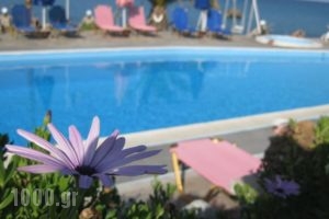 Villa Violetta_best prices_in_Villa_Aegean Islands_Samos_Karlovasi