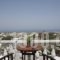 Villa Danezis_best deals_Villa_Cyclades Islands_Sandorini_Mesaria