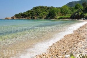 Pension Sotiria_best prices_in_Hotel_Aegean Islands_Thasos_Thasos Chora