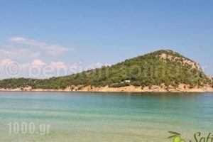 Pension Sotiria_travel_packages_in_Aegean Islands_Thasos_Thasos Chora