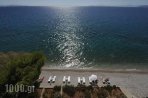Siagas Beach Hotel_travel_packages_in_Peloponesse_Korinthia_Agioi Theodori