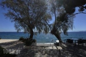 Siagas Beach Hotel_best deals_Hotel_Peloponesse_Korinthia_Agioi Theodori