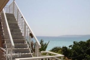 Angela'Studios_best deals_Hotel_Ionian Islands_Kefalonia_Vlachata