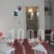 Rooms Mike_lowest prices_in_Room_Cyclades Islands_Paros_Paros Chora