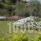 Hotel Theasi_best deals_Hotel_Peloponesse_Achaia_Diakopto