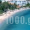 Meltemi_best prices_in_Hotel_Central Greece_Fthiotida_Glyfa