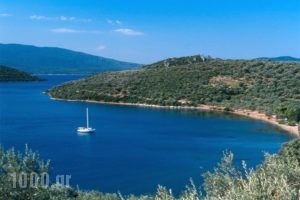 Meltemi_lowest prices_in_Hotel_Central Greece_Fthiotida_Glyfa