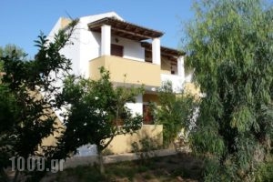 Socrates Studios & Apartments_accommodation_in_Apartment_Ionian Islands_Corfu_Aghios Stefanos