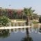 Asterias Studios & Apartments_best deals_Apartment_Crete_Chania_Akrotiri