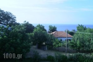 Mirsini Apartments_lowest prices_in_Apartment___