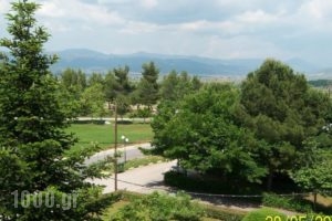Astron Hotel_holidays_in_Hotel_Central Greece_Fthiotida_Loutra Ypatis