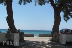 Fabio Studios_accommodation_in_Hotel_Cyclades Islands_Tinos_Tinosst Areas