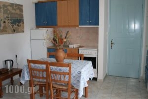 Pelagias Apartments_best deals_Apartment_Ionian Islands_Kefalonia_Aghia Efimia