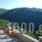 Hotel Dryades_accommodation_in_Hotel_Epirus_Ioannina_Zitsa