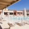 Studio Olive Lemon-Morfi Village_holidays_in_Hotel_Crete_Chania_Akrotiri