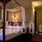 Entheon Rooms_best deals_Room_Thessaly_Magnesia_Pilio Area