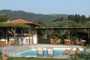 Skites Hotel Bungalows_best deals_Hotel_Macedonia_Halkidiki_Ierissos