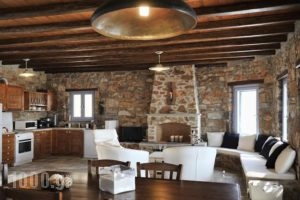 Aria Villas Serifos_holidays_in_Villa_Cyclades Islands_Serifos_Serifos Rest Areas