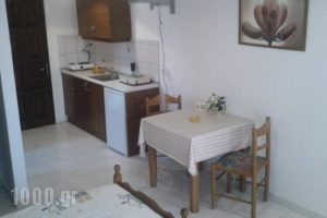 Villa Stefania_best deals_Villa_Ionian Islands_Corfu_Roda