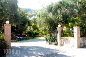 Annas Villa_best deals_Villa_Ionian Islands_Zakinthos_Zakinthos Rest Areas