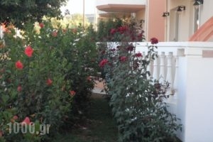 Golden Rose Suites_lowest prices_in_Hotel_Crete_Chania_Kolympari