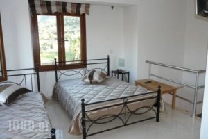 Artemis Lux Apartments_best deals_Apartment_Aegean Islands_Lesvos_Anaxos