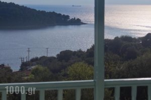 Regina Studios_holidays_in_Hotel_Sporades Islands_Skopelos_Panormos