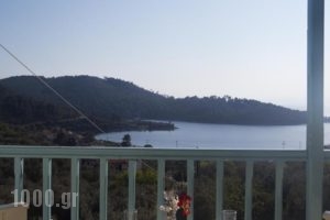 Regina Studios_accommodation_in_Hotel_Sporades Islands_Skopelos_Panormos