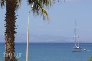 Andromeda Hotel Apartments_best deals_Apartment_Dodekanessos Islands_Kos_Kos Chora