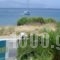 Andromeda Hotel Apartments_best prices_in_Apartment_Dodekanessos Islands_Kos_Kos Chora