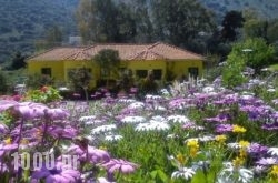 Countryside Studios in Chania City, Chania, Crete