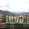 Chrisso_best deals_Hotel_Central Greece_Fokida_Amfissa