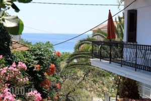 Pension Aldebaran_accommodation_in_Hotel_Aegean Islands_Thassos_Potos
