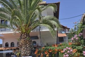 Pension Aldebaran_best prices_in_Hotel_Aegean Islands_Thassos_Potos