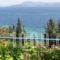 Pantheon Studios_lowest prices_in_Hotel_Ionian Islands_Lefkada_Perigiali